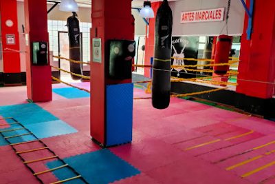 Entrena Boxeo en el gimnasio Fitness Jocha